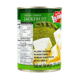 Young green Jack fruit in Water (565g)